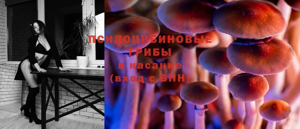 скорость Краснотурьинск
