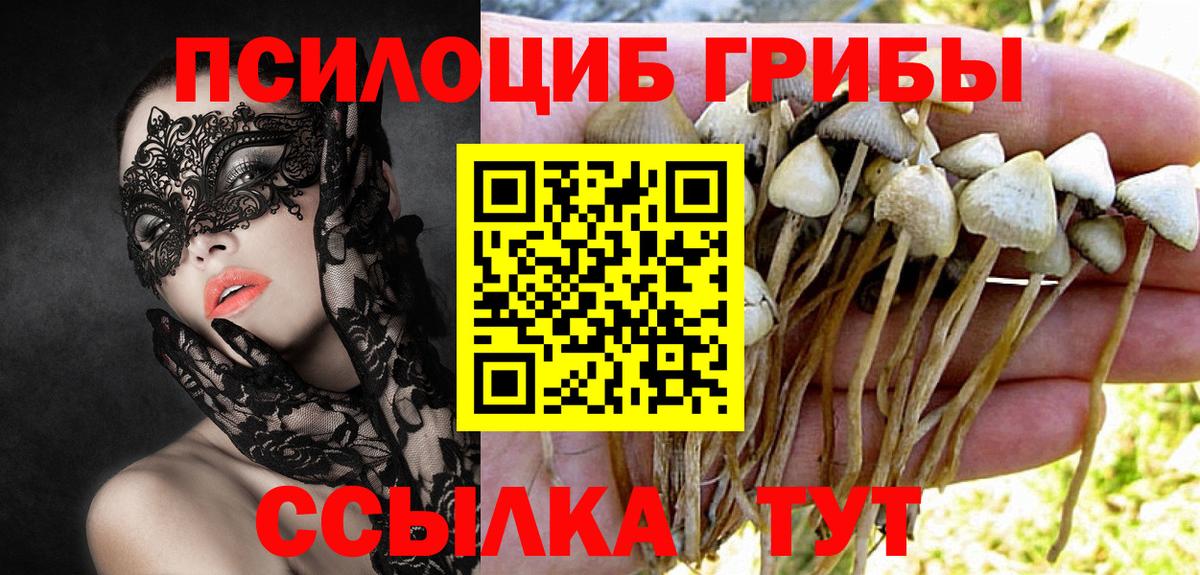 Псилоцибиновые грибы прущие грибы Сланцы