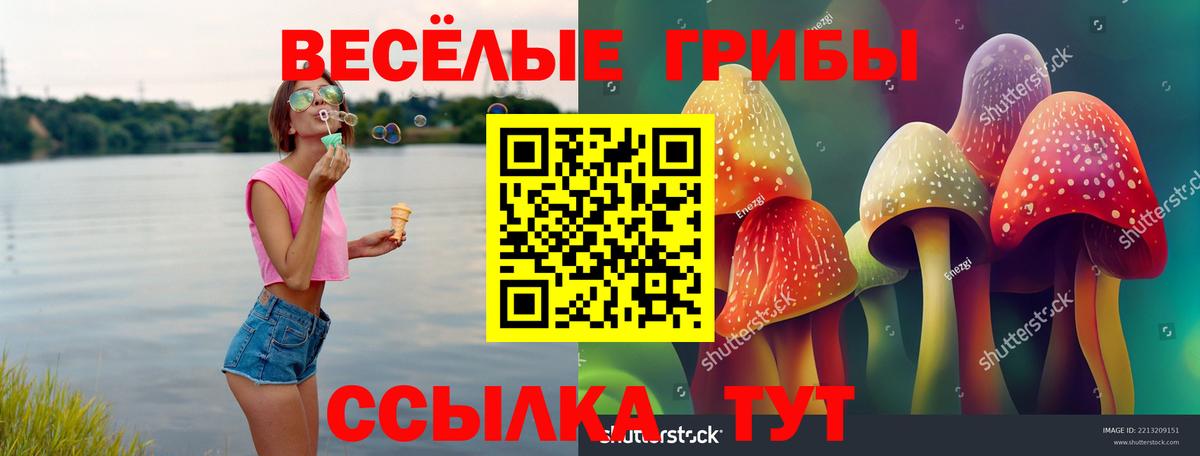 Псилоцибиновые грибы ЛСД Сланцы