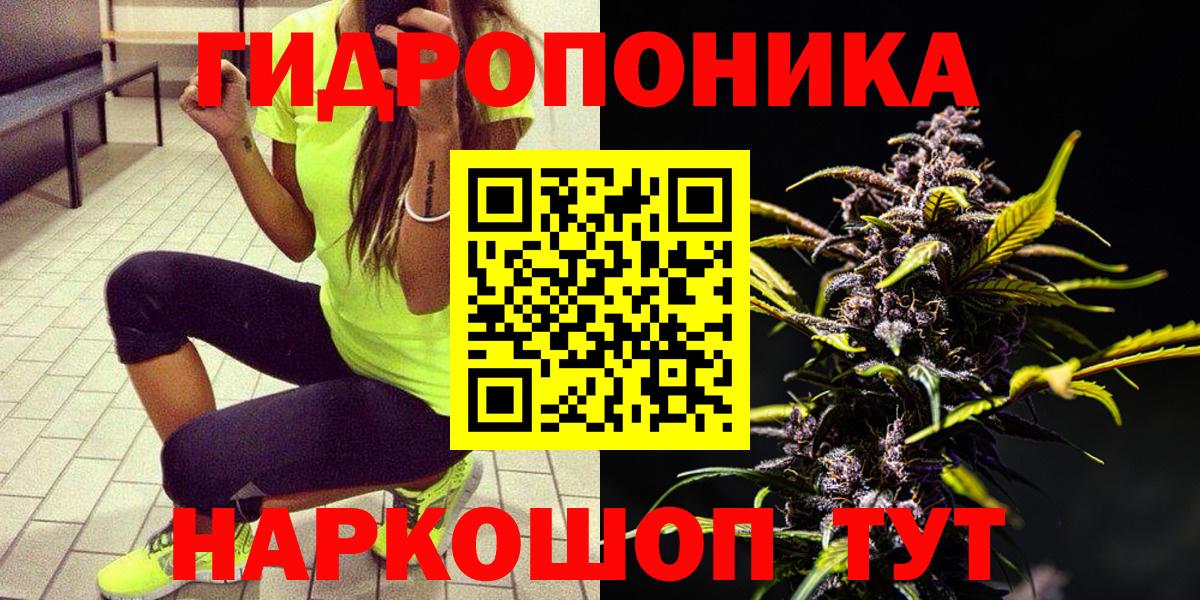 Бошки марихуана OG Kush Сланцы